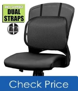 Easy Posture Lumbar Back Support Mesh 